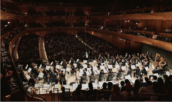 orchestra performance