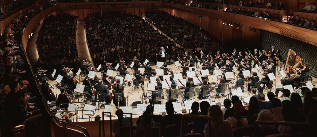 orchestra performance