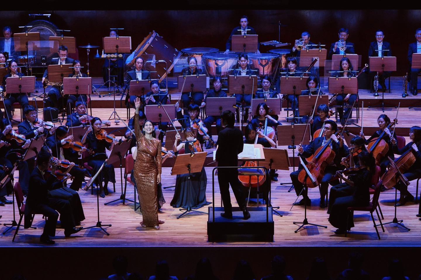 NSO A Night in Vienna: Highlights from the Grand Operas