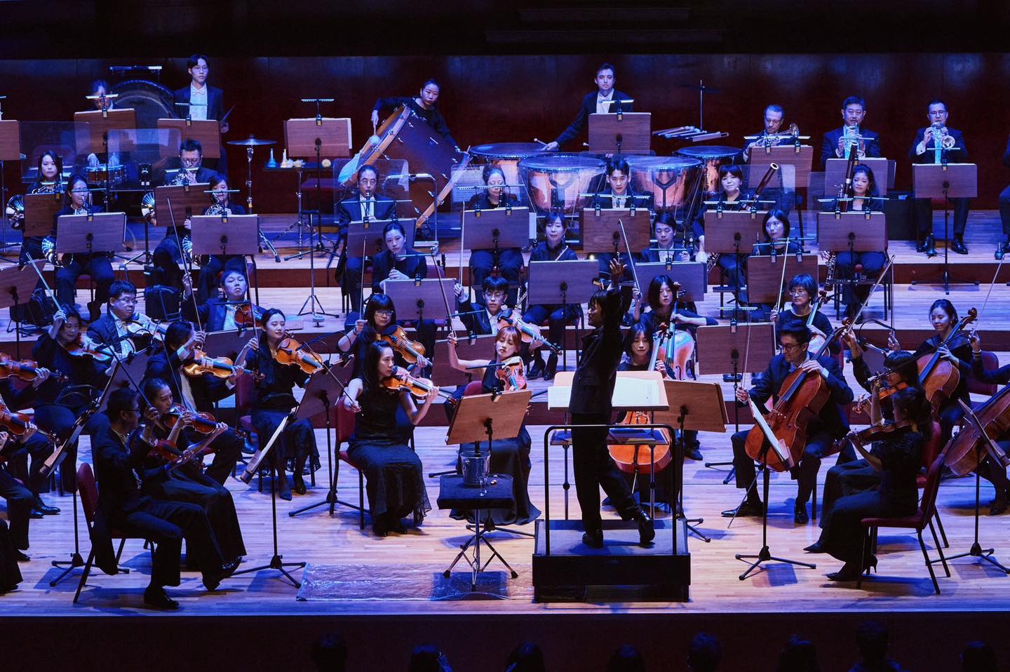 NSO A Night in Vienna: Highlights from the Grand Operas