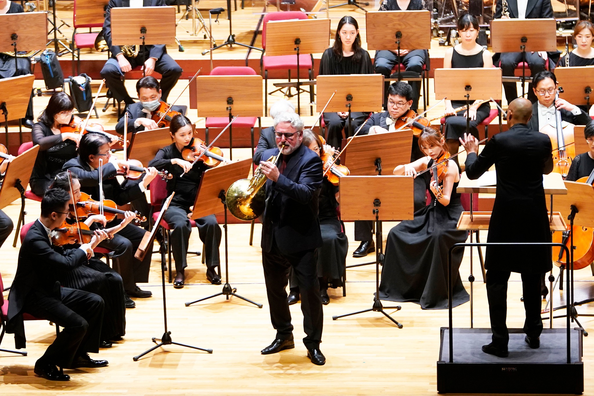 Radovan Vlatković, horn